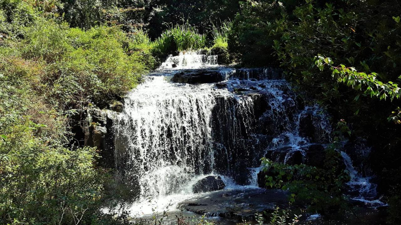 Kings Lodge Hotel Hogsback Luaran gambar