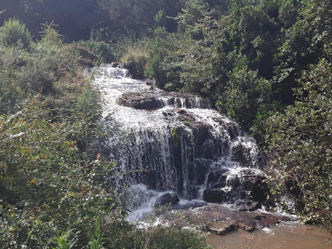 Kings Lodge Hotel Hogsback Luaran gambar
