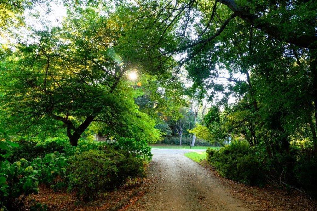 Kings Lodge Hotel Hogsback Luaran gambar