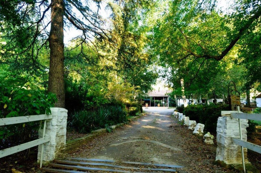 Kings Lodge Hotel Hogsback Luaran gambar