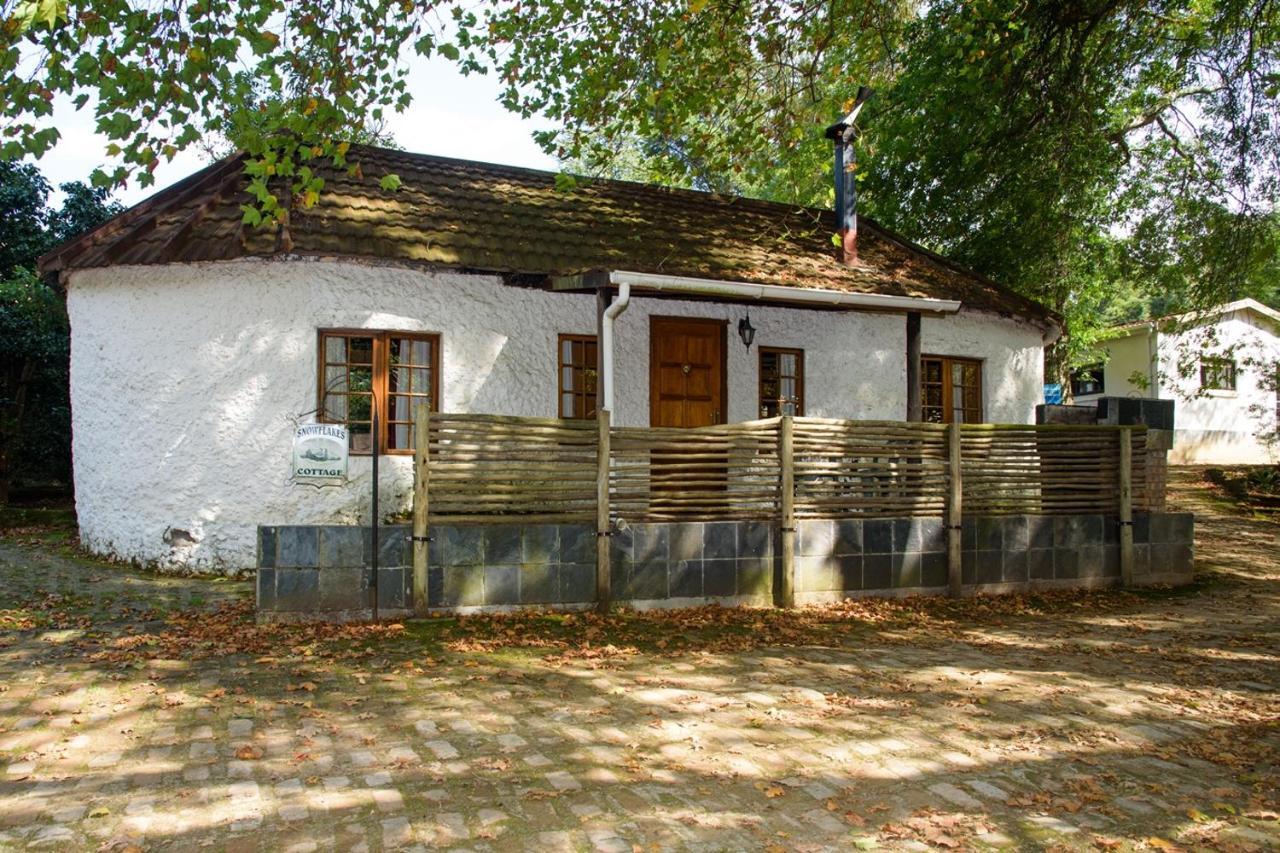 Kings Lodge Hotel Hogsback Luaran gambar