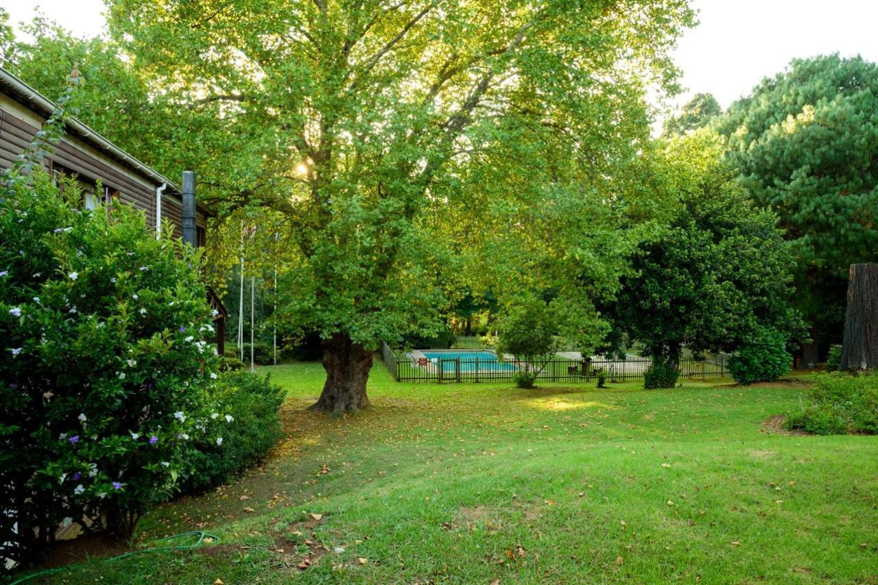 Kings Lodge Hotel Hogsback Luaran gambar